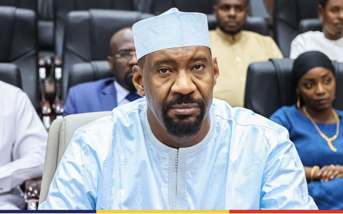 Portrait officiel du Ministre de la Sécurité Publique et de l’Immigration - Photo 10